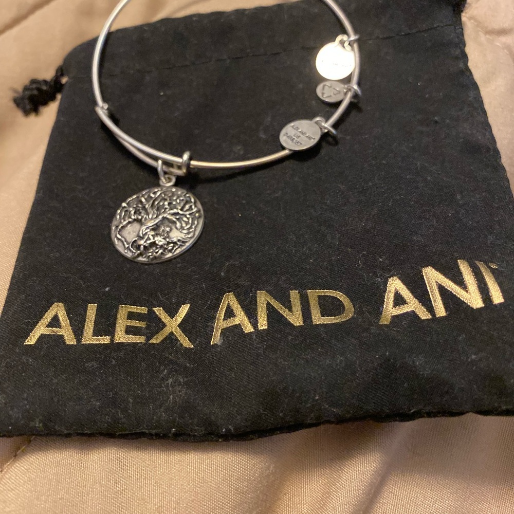 Alex and Ani bracelet